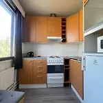 Scandinavian Dream And