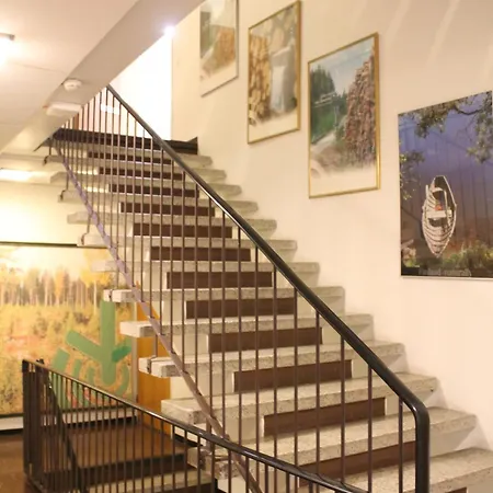 Scandinavian Dream And Daire