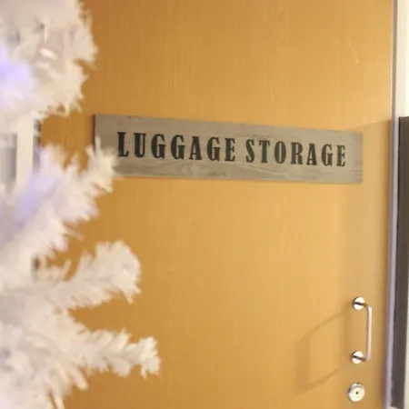 Scandinavian Dream And Daire