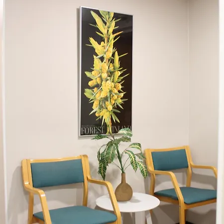 Scandinavian Dream And * Rovaniemi