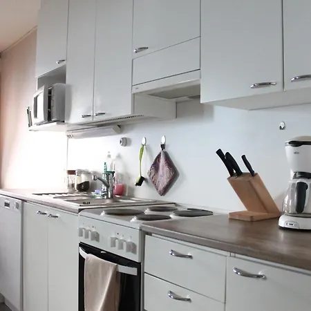 Scandinavian Dream And Appartement