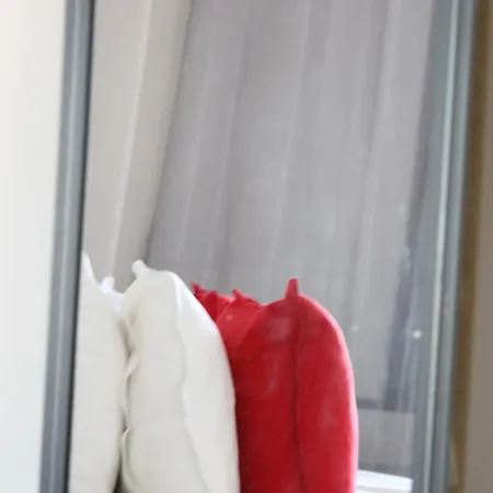 Scandinavian Dream And * Rovaniemi