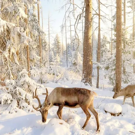 Apartmán Scandinavian Dream And