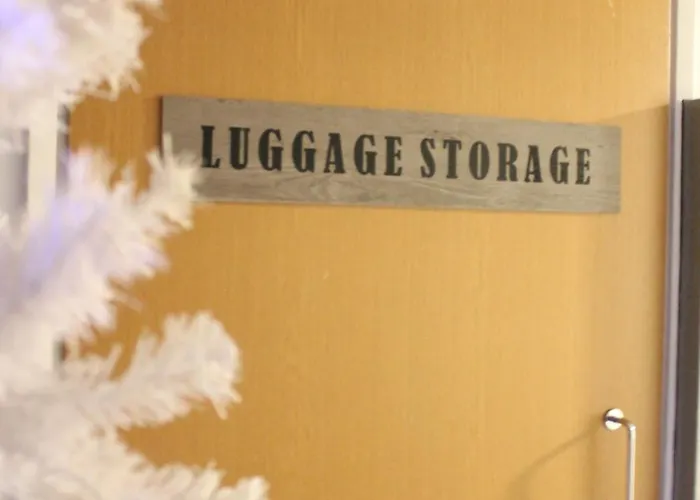 Scandinavian Dream And Apartamento