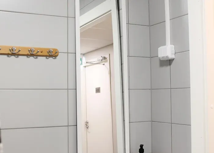 Scandinavian Dream And